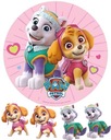 Paw Patrol SKEY EVEREST Torta Oblátka Kruh Postavy Potlač cukru A4