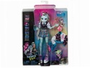 Základná bábika Monster High Frankie Stein HHK53