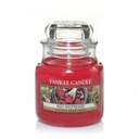 Red Raspberry Yankee Candle, malá vonná sviečka