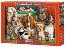 Puzzle 3000 Dog Club Castorland C-300501