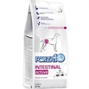 Forza10 Intestinal Active 4kg