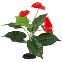 REPTI PLANET Anthurium 40cm umelá rastlina