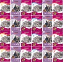 Mokrá mačka pre CAT Super Benek vrecká pre príchute Cat Mix 24x100G