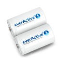 Batéria EverActive Professional Line R20/D