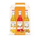 Sada limonádových sirupov Monin mix 3x250ml