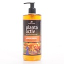 Aquabotanique Planta Active - mikroelementy 500 ml