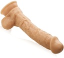 VEĽKÝ DILDO PENIS S REALISTICKOU PRÍSAVKOU, Ø 5 cm