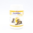 Vetoquinol Caniviton protect 90 tabliet