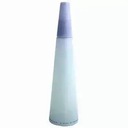 Issey Miyake L'eau d'Issey deodorant 100 ml