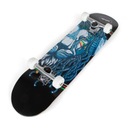 ALLRIGHT RASTA LION ABEC9 79 Kompletný skateboard