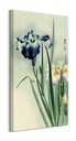 Obraz Irises Flowers Ohara Koson na plátne 30x60 cm