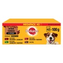 Pedigree Adult mix príchutí 100g x 40 (Multipak x 1)