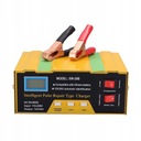 Smart Charger 12V24V 10A Smart Pulse