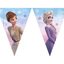 Frozen Frozen flag girlanda banner