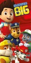 Osuška Paw Patrol 5150 70x140cm