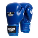 StormCloud Competition Boxerské rukavice Competitor Blue 12 oz