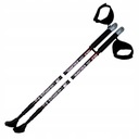 Nils Extreme NW608 palice na nordic walking