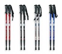 NORDIC WALKING TREKKINGOVÉ PALICE 135 cm