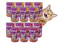 Whiskas MIX príchutí 12x400g