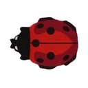 Kokosová rohožka Koberec Ladybug 58,5x45x1,7