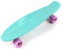 METEOR Skateboard Fiszka Classic Pennyboard Urban Youth