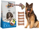 Calibra Dog Premium Adult 12kg + ZDARMA