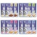 BRIT FAMILY Plate Jelly Krmivo pre mačky MIX 12x85g