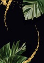 Plagát Monstera Plagáty do rámu B2 70x50cm