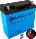 Bezúdržbová batéria AGM Bluebox pre UPS alarm 12V 20Ah