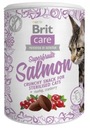 Brit Care Cat Snack Superovocie Losos Cat Treat Losos 100g