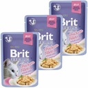 BRIT PREMIUM FOOD S KURATOM V ŽELÉ 12x85g