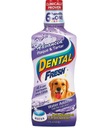 Dental Fresh Stone and Sediment 503 ml