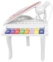 ELEKTRONICKÉ PIANO BONTEMPI