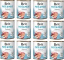 BRIT Paté & Meat Losos 12x 800g