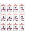 Royal Canin VHN Cat Renal FISH 12x 85g