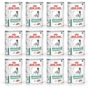 Royal Canin Dog Diabetic 12 konzerv 410 g