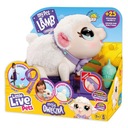 Interaktívny maskot ovečky Little Live Pets 26476