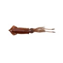 LURE S.G.3D SWIM SQUID 25cm/126g 1 ks Hnedá