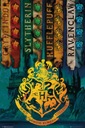 Filmový plagát Harry Potter House Flags 61x91,5 cm