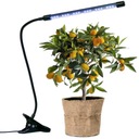 Lampa na rast rastlín Platinet Led Grow Lamp 3W 1300K 60Lm 24xLED 3 režimy