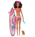 Mattel Barbie bábika so surfom HPL69