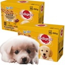 PEDIGREE Junior želé krmivo pre psov 24x100g