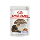 Royal Canin Aging 12+ želé