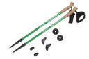 NORDIC WALKING FORSAND CARBON EVOLUTION POLE