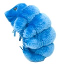 Maskot mikróbov Tardigrade