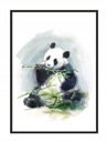 OBRAZOVÝ PLAGÁT V RÁME 33x43 cm Panda PD274