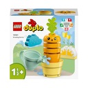 LEGO DUPLO Rastúca mrkva 10981