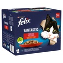 FELIX FANTASTIC Mäsová zmes v želé 24 x 85 g