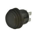 Tlačidlový spínač. 6A 250V R13-527A2-02BB / 09592