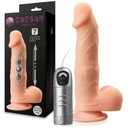 SEX DILDO PENIS KLADIVO VIBRÁTOR S POSUVNÝM POHYBOM